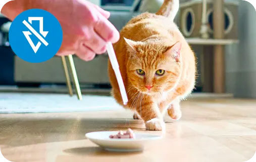 Cat looking at a bowl of food, with a "no drop" icon in the top left