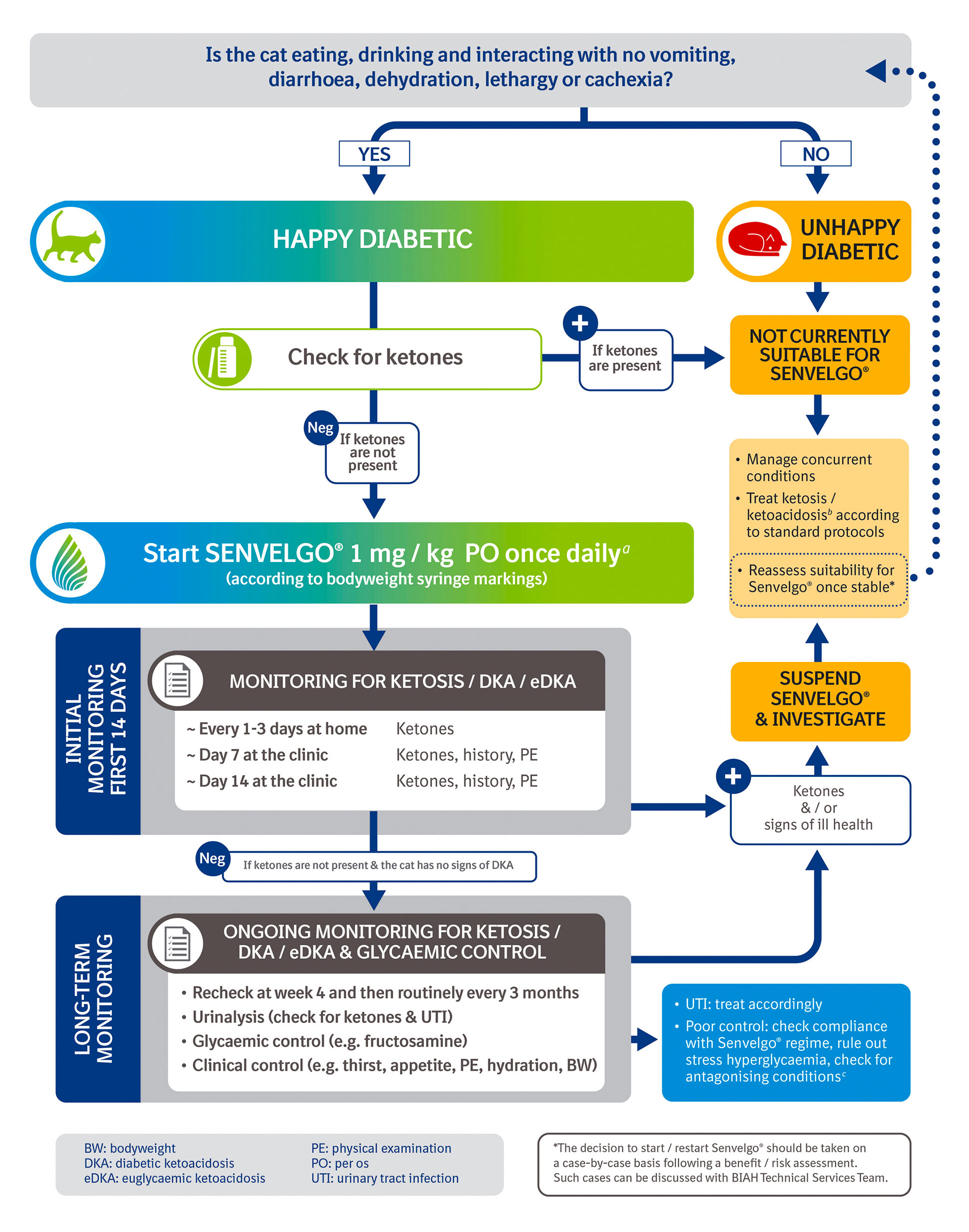 Diabetes management flowchart